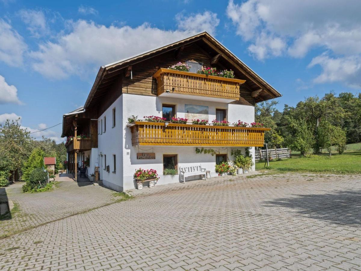 Flat On A Farm Near The Arber Ski Area Neukirchen beim Heiligen Blut Zewnętrze zdjęcie