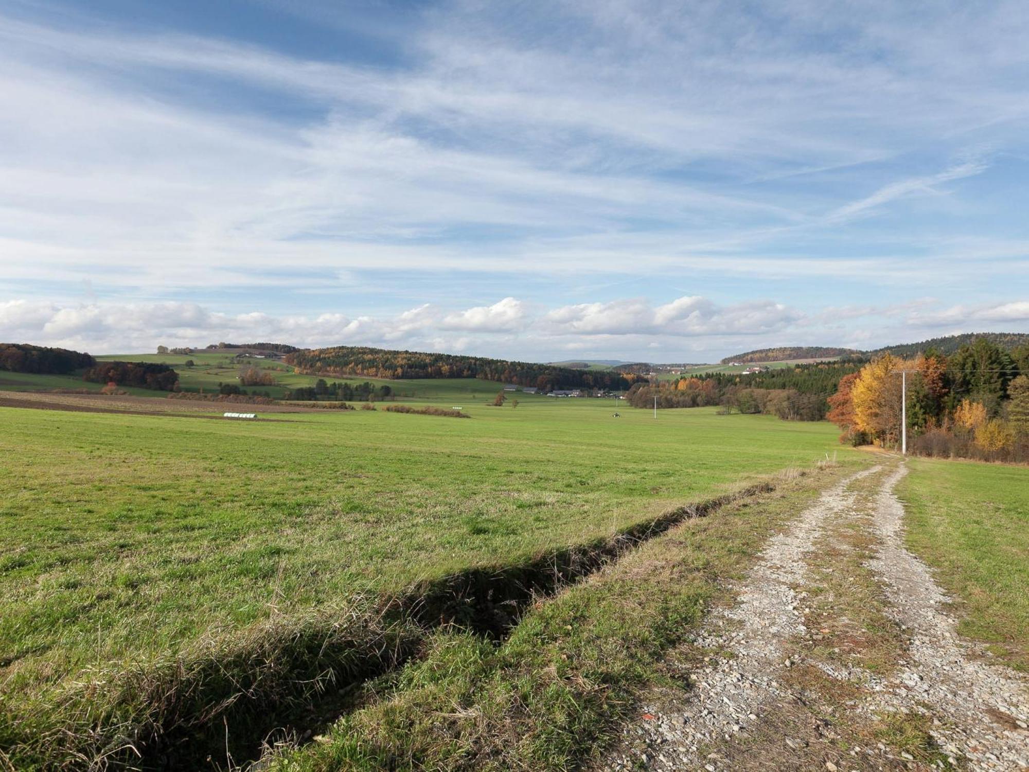 Flat On A Farm Near The Arber Ski Area Neukirchen beim Heiligen Blut Zewnętrze zdjęcie
