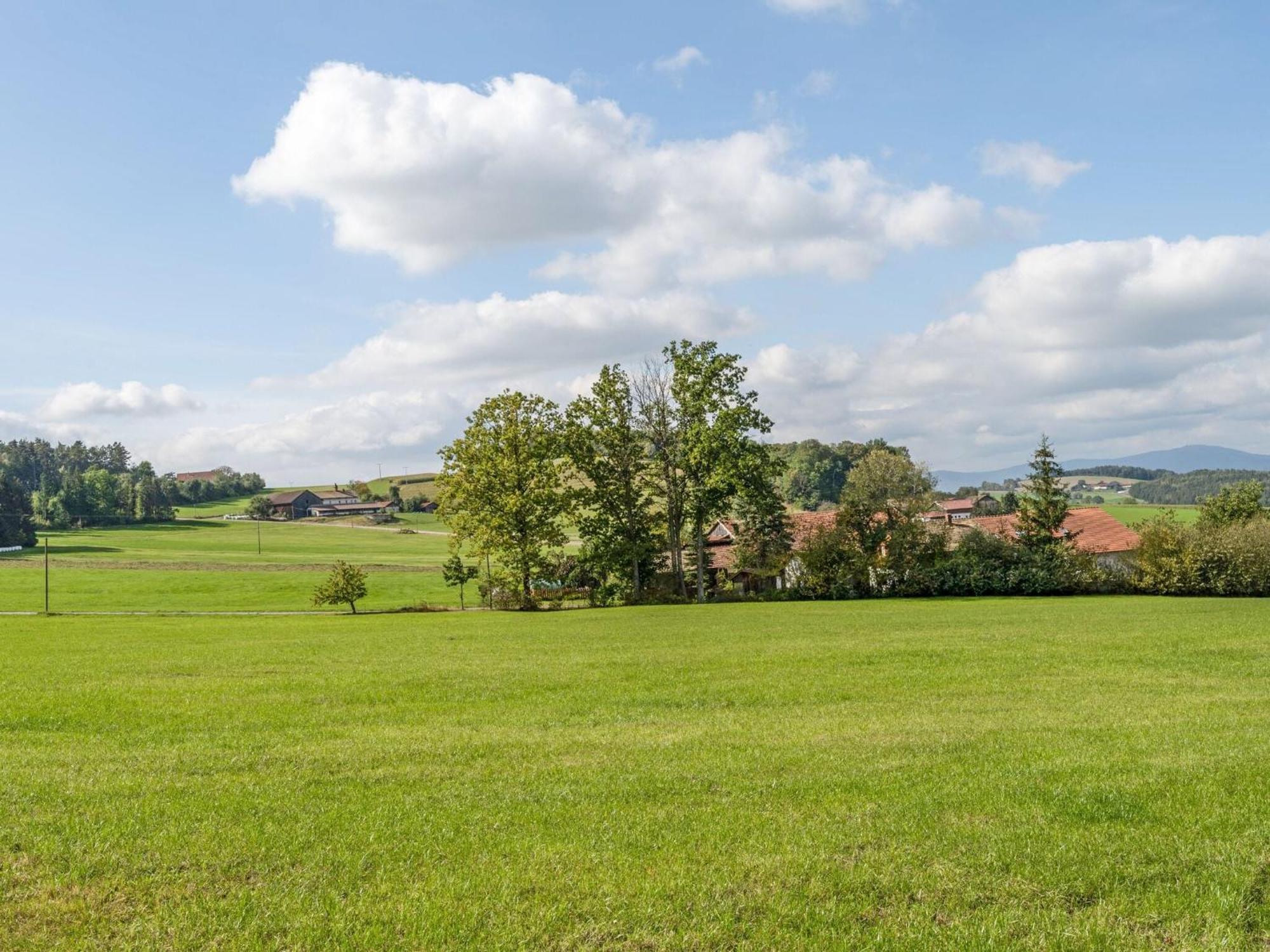 Flat On A Farm Near The Arber Ski Area Neukirchen beim Heiligen Blut Zewnętrze zdjęcie